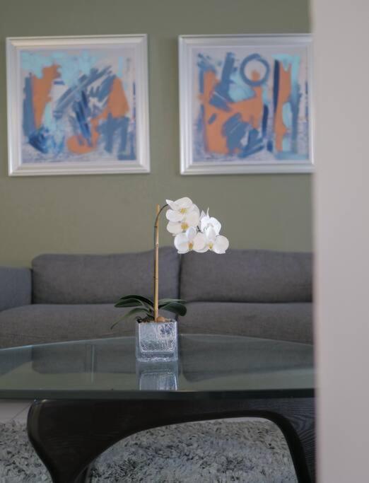 Urban Executive Stay San José Zewnętrze zdjęcie